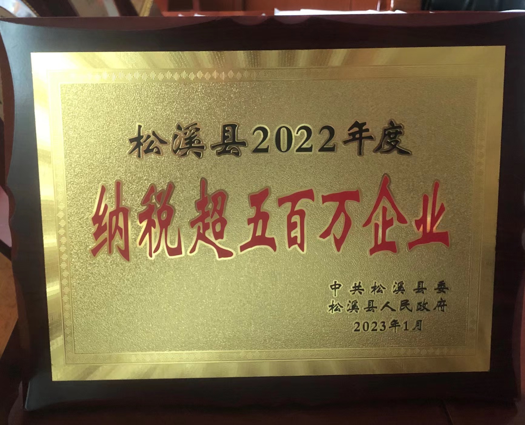 喜報(bào)！易順建工集團(tuán)喜獲“松溪縣2022年度納稅超五百萬企業(yè)”榮譽(yù)